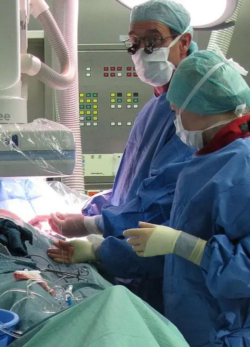 Statut et évolution de carrière fonction publique